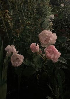 いつまでも醒めない夢を.