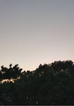 漂う妖気は知っている