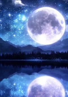 向井康二　短編集