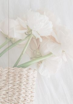 STPRのほんとの社長　.