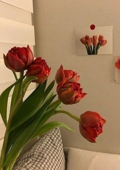 辛辣な君と天災な私【赤】