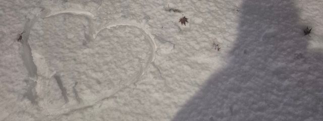 ささんの壁紙画像