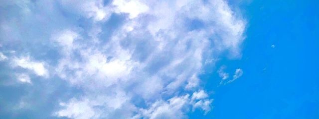 桜さんの壁紙画像