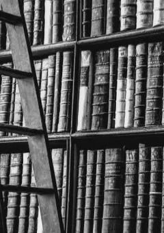 𝖲𝗁𝗈𝗋𝗍𝖲𝗍𝗈𝗋𝗒