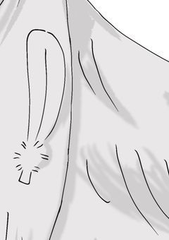 黙示録の四騎士と共に歩む者