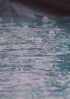 どうしてこうなった