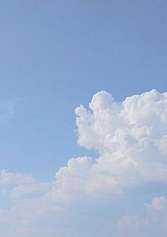 "大好き"だったよ