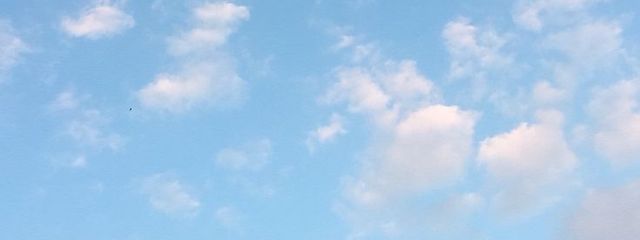 。さんの壁紙画像