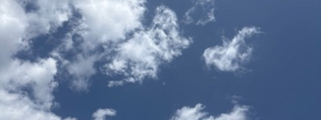 向日葵さんの壁紙画像