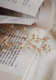 境界線の神隠し