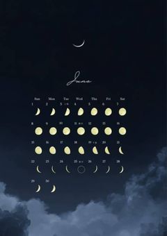 賢者、主様、監督生LINE
