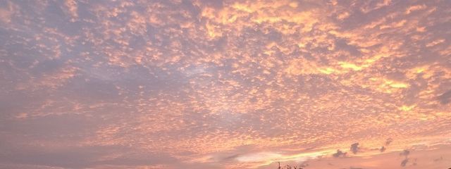 𝙼𝙸𝚉𝚄𝙺𝙸 月食見たかったな、さんの壁紙画像