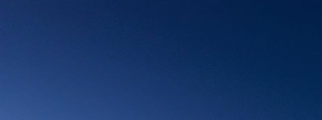 月猫さんの壁紙画像