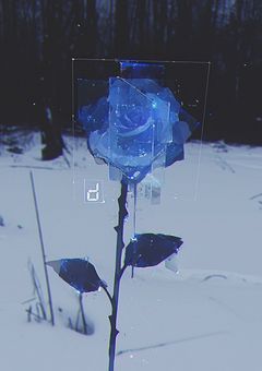 ↻›› ︎︎腐敗の貴方と夢をみる【inm】