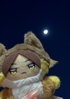 実写