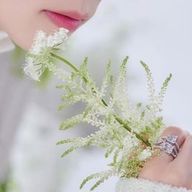 もんもんさんのアイコン画像