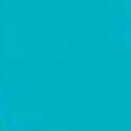 花園桃絵さんのアイコン画像