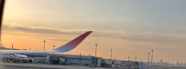 さらさんの壁紙画像