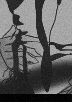 不思議 ナ 愛 in シェアハウス _ ¿¡