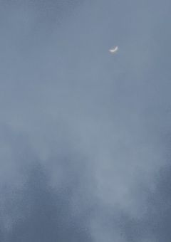 亡国 の 義妹 は 冷酷 な 華 _ .