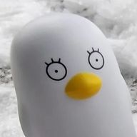 たこさんのアイコン画像