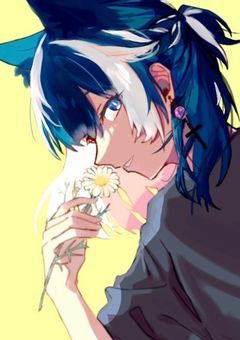 初めまして、お稲荷様です　【配信部屋】