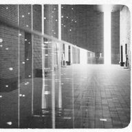 ｴﾑさんのアイコン画像