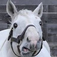 ゴルシ（まじもん）さんのアイコン画像