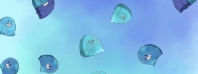 亀吉さんの壁紙画像