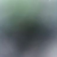 ねねさんのアイコン画像