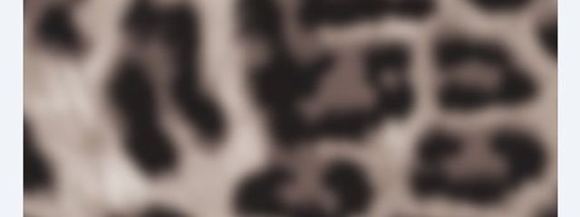 ぽっちゃまさんの壁紙画像