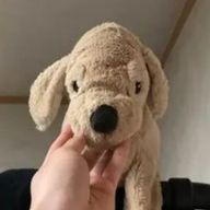 ぽっちゃまさんのアイコン画像