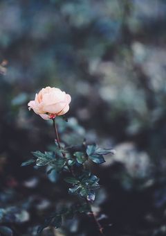 【Stray Kids】〜短編集〜