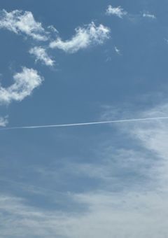 あの青を見続けていた