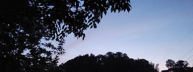 かかしさんの壁紙画像