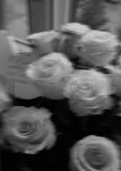 くらべられっ子。