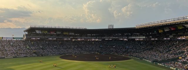 やぴさんの壁紙画像