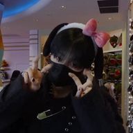 そるてぃーや🎀🐈⬛さんのアイコン画像