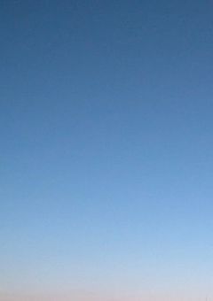 家族が増えました