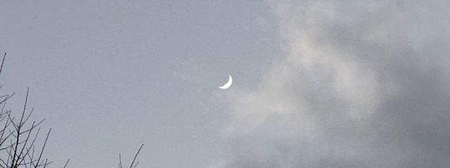  猫乃 らて  。‎‎@葵らぶ💕  さんの壁紙画像