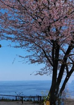 無期限活動休止について 。