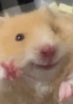 straykidsには生理男子が4人いる！？