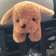 茶々丸さんのアイコン画像