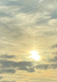 お昼の幸せな空間