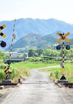 翠天高等学園での2人の生活
