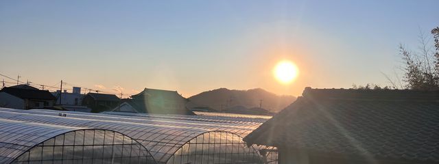 都希さんの壁紙画像