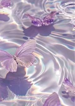 beautiful Butterfly