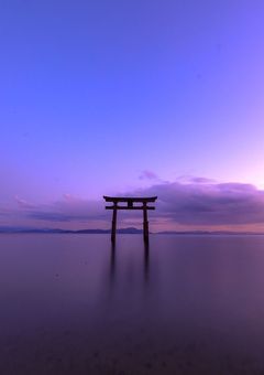 妖怪学校の反応みてみよう