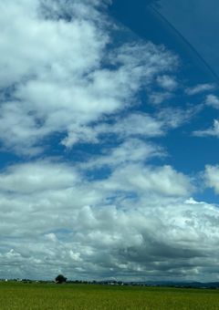 祖国の嫁は日本人。