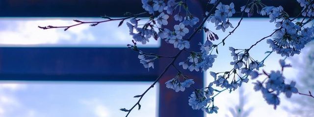 幻想。さんの壁紙画像